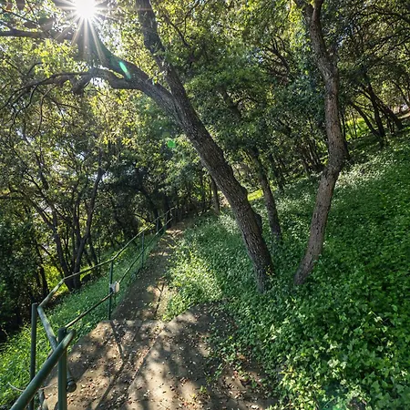 Le Chateau - La Perle Du Cap Martin *