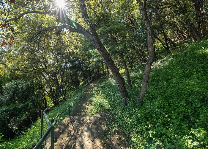 Chateau - La Perle Du Cap Martin *